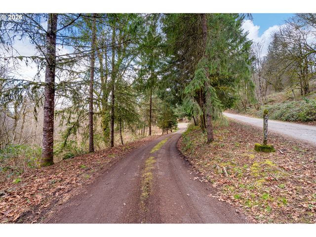 40405 Nw MAPLE RIDGE Rd, Woodland, WA 98674