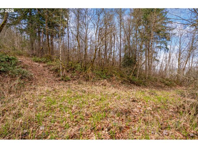 40405 Nw MAPLE RIDGE Rd, Woodland, WA 98674