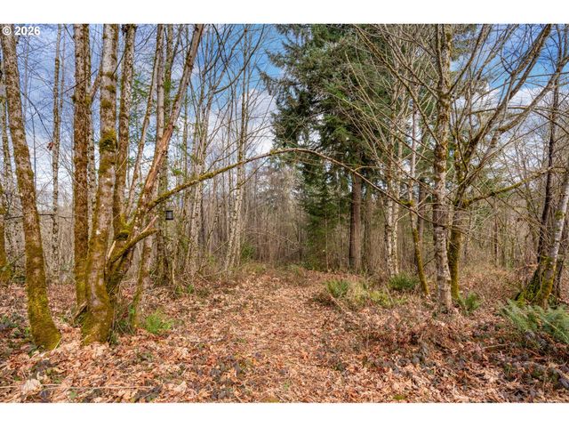 40405 Nw MAPLE RIDGE Rd, Woodland, WA 98674