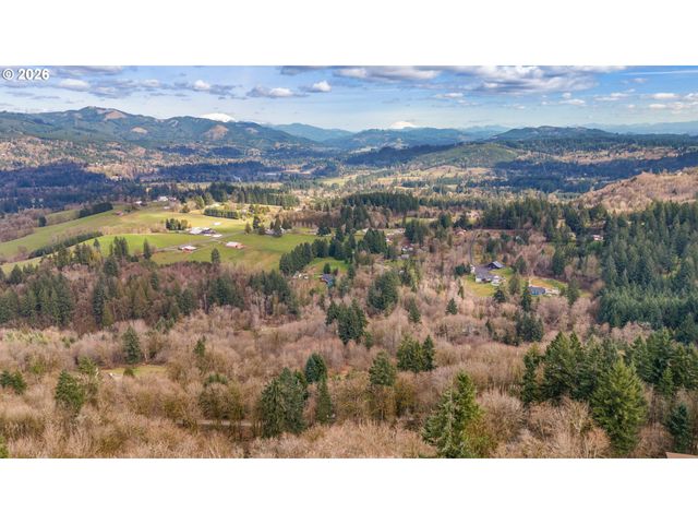 40405 Nw MAPLE RIDGE Rd, Woodland, WA 98674