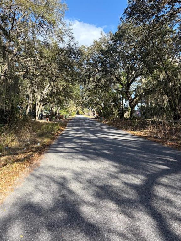 Image 1 of property listing at 4414 COBALT STREET, Palatka, FL 32177