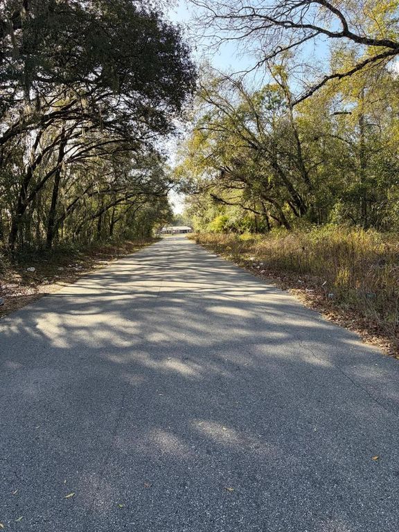 Image 2 of property listing at 4414 COBALT STREET, Palatka, FL 32177