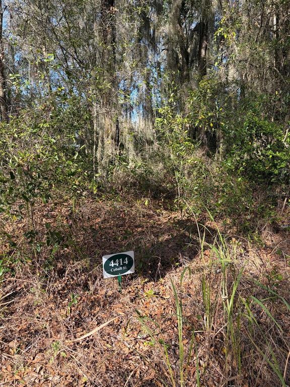 Image 3 of property listing at 4414 COBALT STREET, Palatka, FL 32177