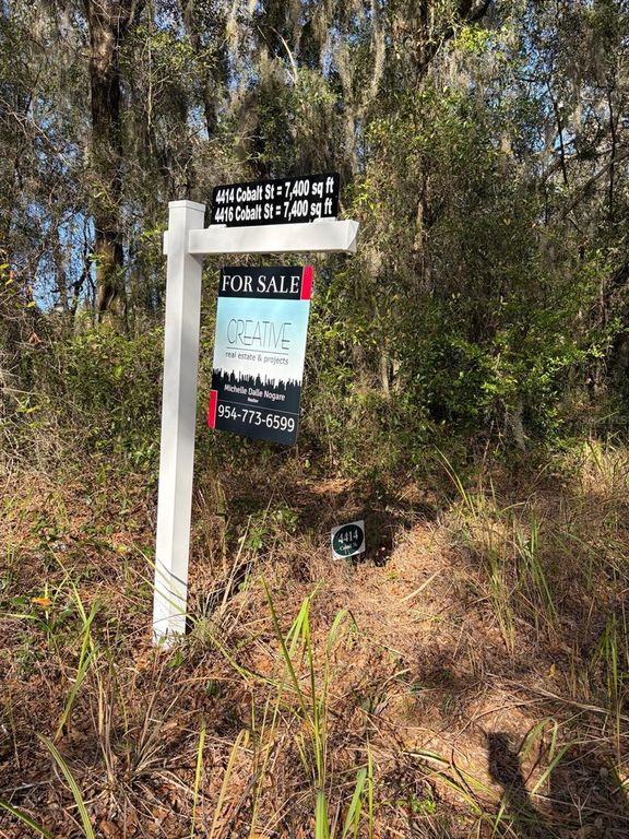 Image 4 of property listing at 4414 COBALT STREET, Palatka, FL 32177