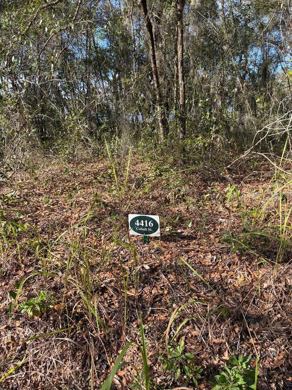 Image 5 of property listing at 4414 COBALT STREET, Palatka, FL 32177