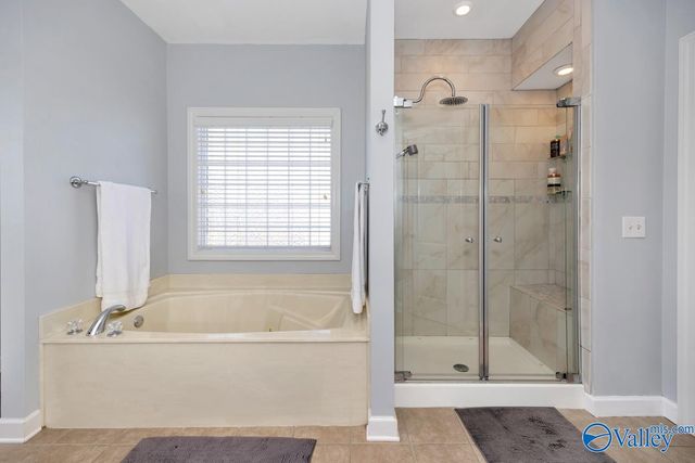 29651 Oxford Circle, Harvest, AL 35749