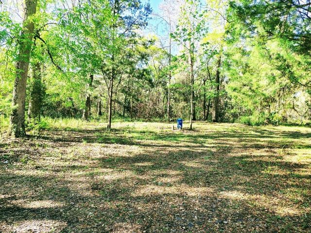 3440 CR 656, Webster, FL 33597