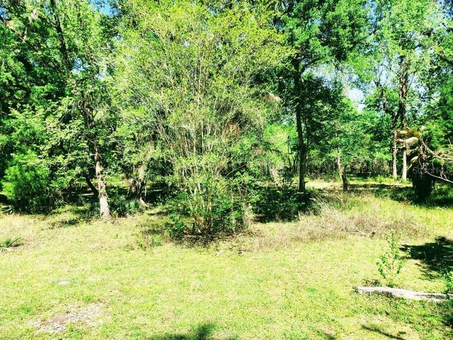 3440 CR 656, Webster, FL 33597