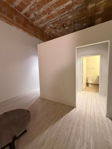 222 S Racine Avenue 207, Chicago, IL 60607