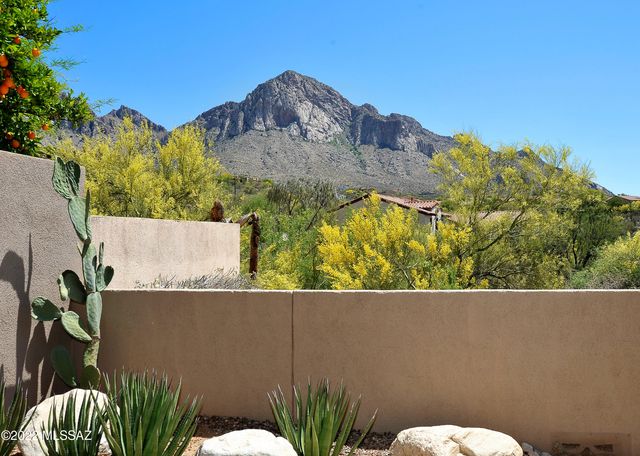 1600 E Deer Shadow Lane, Oro Valley, AZ 85737