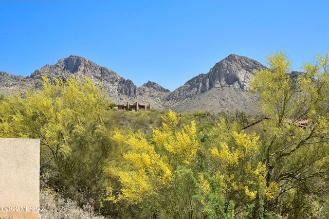1600 E Deer Shadow Lane, Oro Valley, AZ 85737