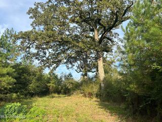 Tbd N River Road, Summit, MS 39666
