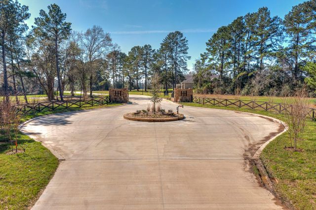 LOT 6 Homestead Hill Road, New Waverly, TX 77358
