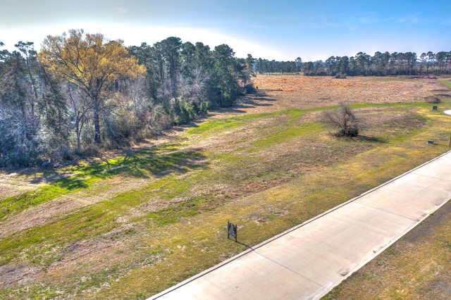 LOT 6 Homestead Hill Road, New Waverly, TX 77358