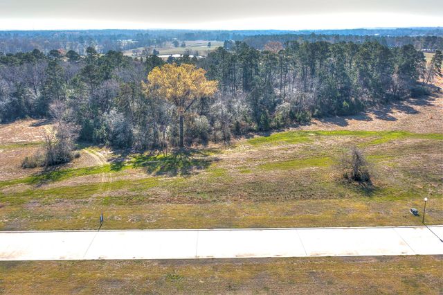 LOT 6 Homestead Hill Road, New Waverly, TX 77358