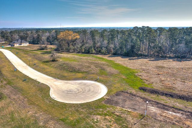LOT 6 Homestead Hill Road, New Waverly, TX 77358