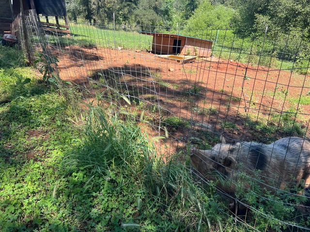 12661 Krosens Rd, Marysville, CA 95901