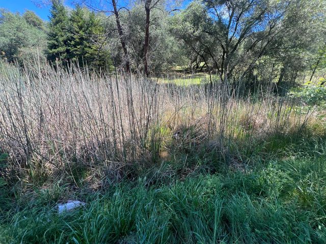 12661 Krosens Rd, Marysville, CA 95901