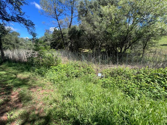 12661 Krosens Rd, Marysville, CA 95901