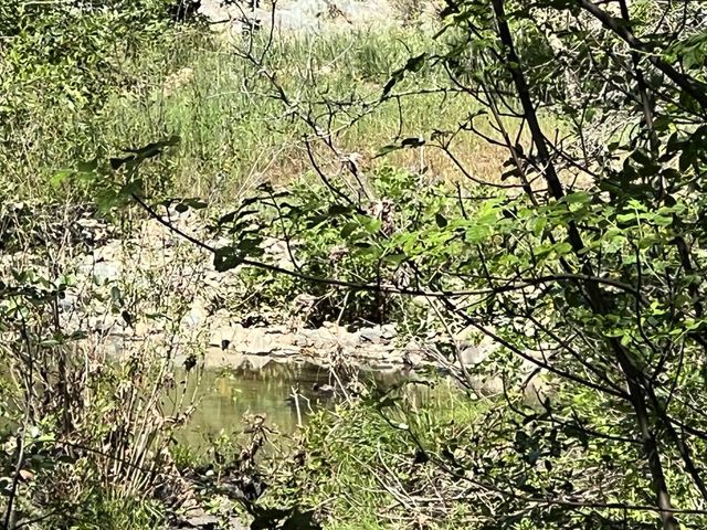 12661 Krosens Rd, Marysville, CA 95901