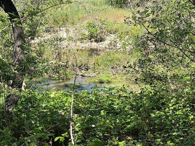 12661 Krosens Rd, Marysville, CA 95901