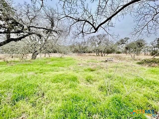 103 Forest View Drive, Victoria, TX 77905