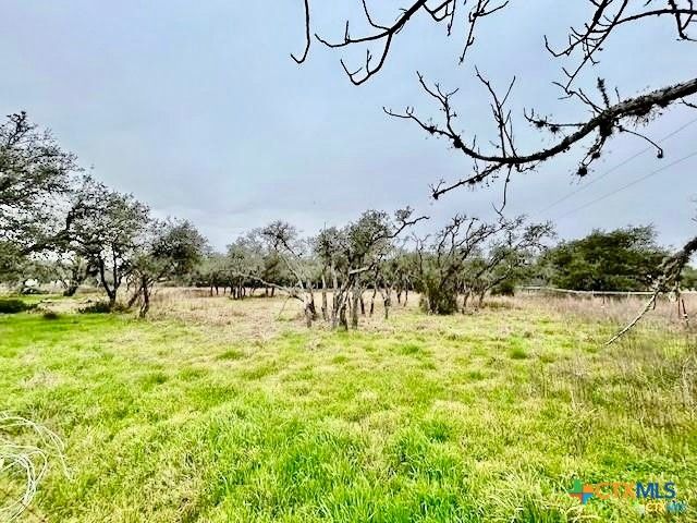 103 Forest View Drive, Victoria, TX 77905