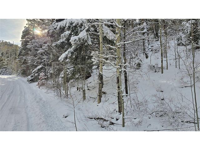 5540 Joy Rd, Fort Garland, CO 81133