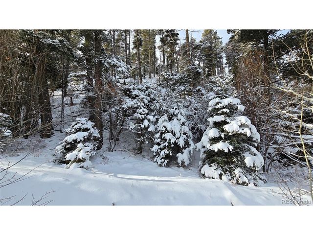 5540 Joy Rd, Fort Garland, CO 81133