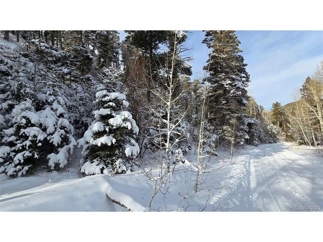 5540 Joy Rd, Fort Garland, CO 81133