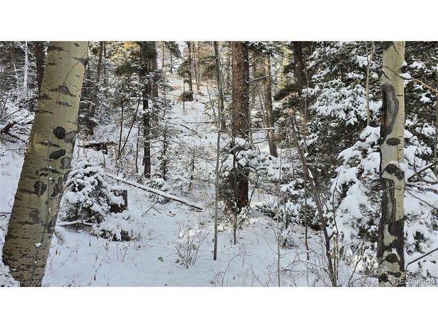 5540 Joy Rd, Fort Garland, CO 81133