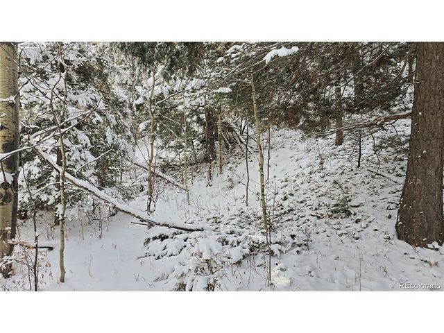 5540 Joy Rd, Fort Garland, CO 81133