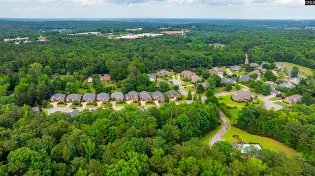 404 Old Carrington Parkway, Lexington, SC 29072