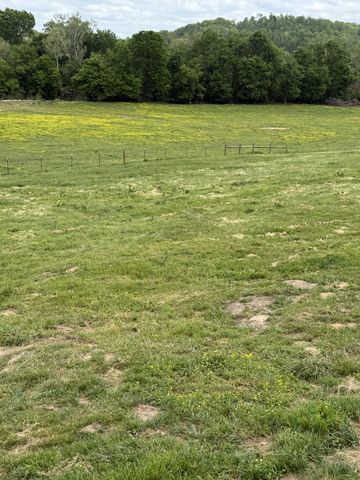 584 Buckeye Rd, Cumberland City, TN 37050