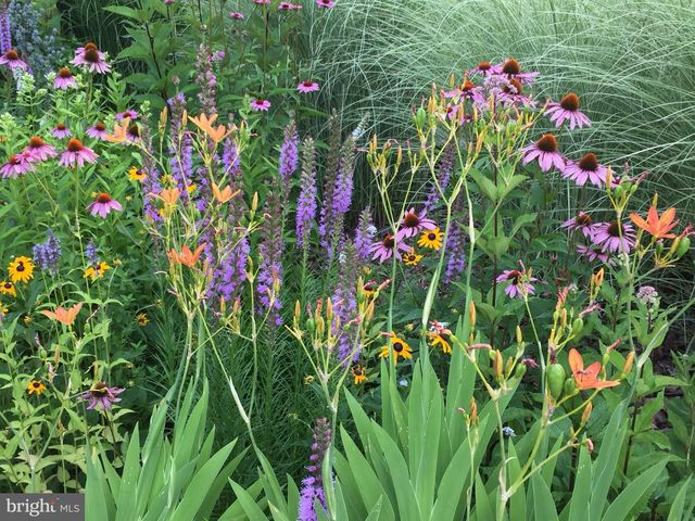 107 CAROUSEL CIR, Doylestown, PA 18901