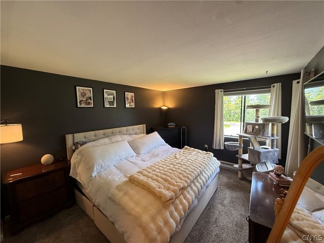 260 Watertree Drive, Dewitt, NY 13057