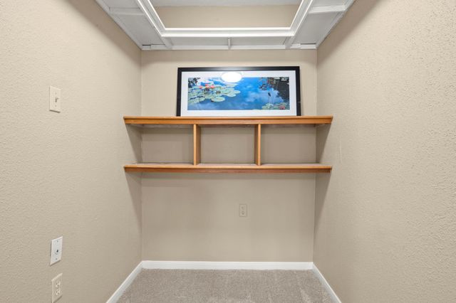 3402 Candleridge Drive, Spring, TX 77388