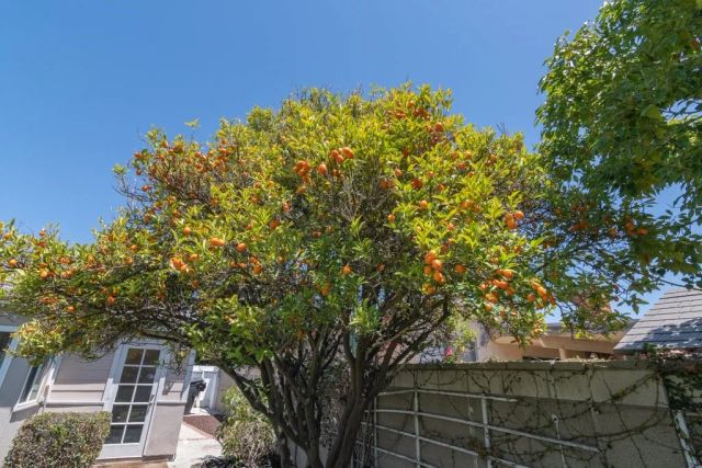 6072 Chinook Ave., Westminster, CA 92683