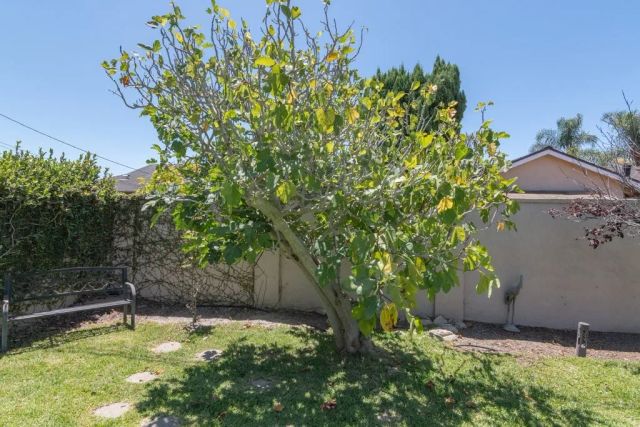 6072 Chinook Ave., Westminster, CA 92683