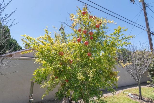 6072 Chinook Ave., Westminster, CA 92683