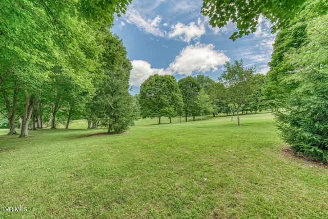 167 Country Acres Drive, Elizabethton, TN 37643
