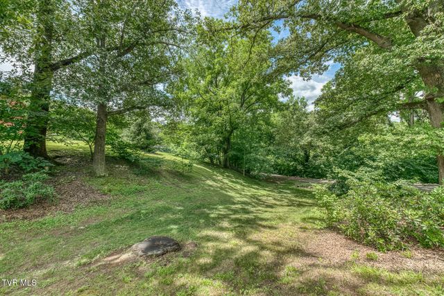 167 Country Acres Drive, Elizabethton, TN 37643