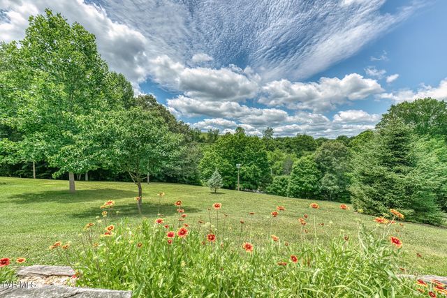167 Country Acres Drive, Elizabethton, TN 37643
