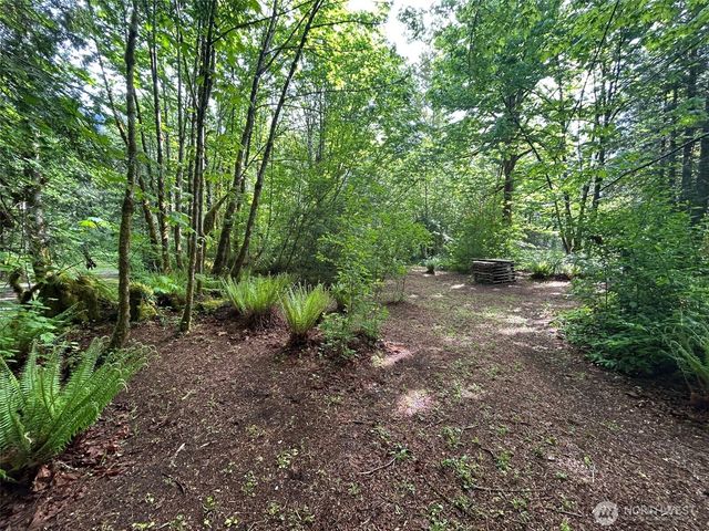 18242 643rd Avenue NE #54,53, Baring, WA 98224