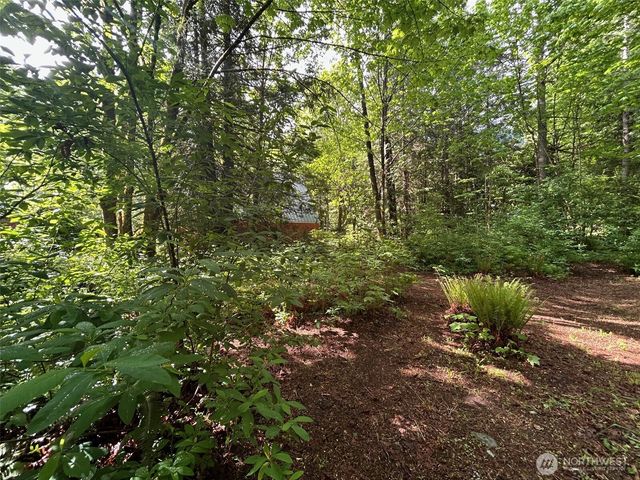 18242 643rd Avenue NE #54,53, Baring, WA 98224