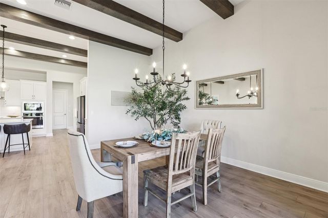 11263 RUSTIC TIMBER LOOP, San Antonio, FL 33576