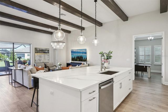 11263 RUSTIC TIMBER LOOP, San Antonio, FL 33576