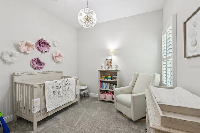 11263 RUSTIC TIMBER LOOP, San Antonio, FL 33576