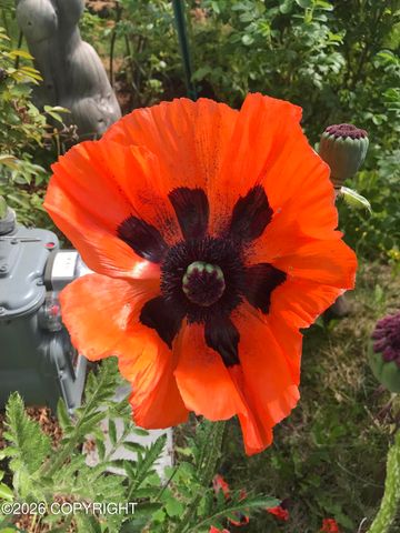 2540 Lord Baranof Drive, Anchorage, AK 99517