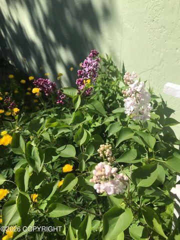 2540 Lord Baranof Drive, Anchorage, AK 99517